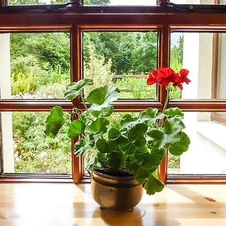 Hawthorn Farm Дом отдыха Curry