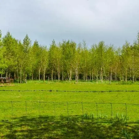 Hawthorn Farm * Curry