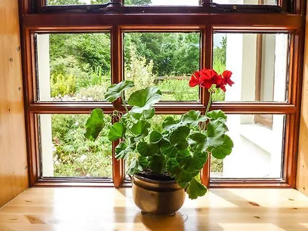 Hawthorn Farm Дом отдыха Curry