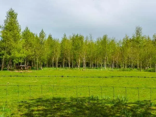 Hawthorn Farm * Curry